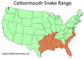 cottonmouth snake facts copperhead snakes vs information range venom difference