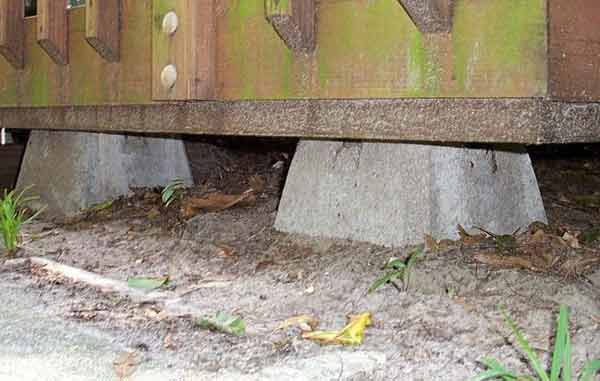 Animal Living Under The Deck or Shed - Opossum Possum Control